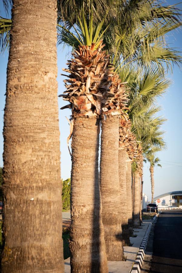 Limassol Akrotiri Beach Vine Cottage A Esterno foto