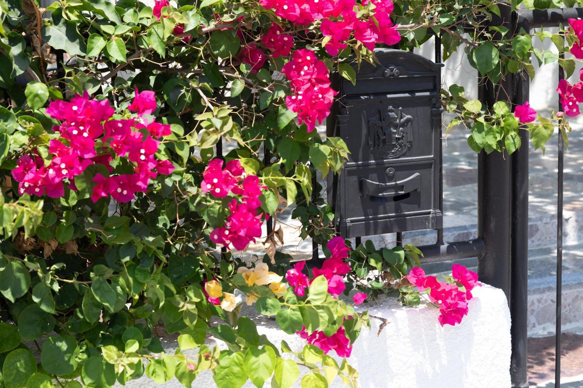 Limassol Akrotiri Beach Vine Cottage A Esterno foto